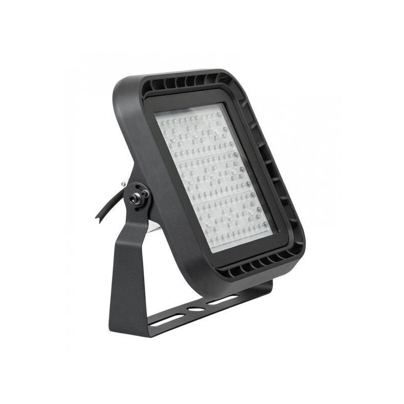 Led professionel projektør, 100W, 5000K, dæmpbar 1-10V DC, 220V-240V AC, IP66