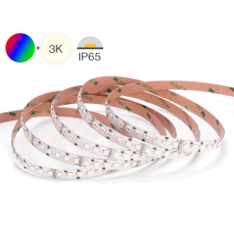 LED RGBW bånd, 24V, 19.2W/m, 240 LED/m, IP65, 5m