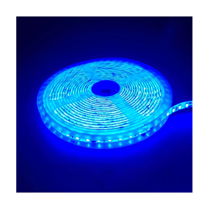 LED bånd-Blå 10W/m, 5m, 120 LED pr/m, 24V, IP65