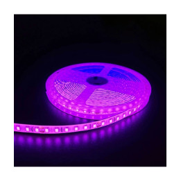 LED bånd- Pink, 10W/m, 5m, 120 LED pr/m, 24V, IP65
