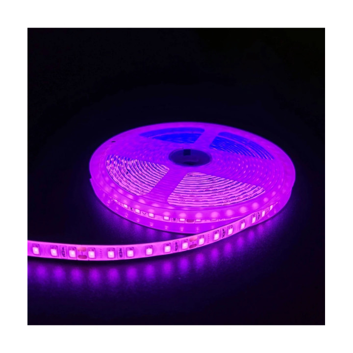 LED bånd- Pink, 10W/m, 5m, 120 LED pr/m, 24V, IP65