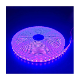 LED bånd- Lilla 10W/m, 5m, 120 LED pr/m, 24V, IP65