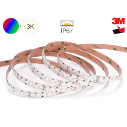 RGBW LED-bånd 24V, 19,2W/m | 10 m, 3000K, IP67