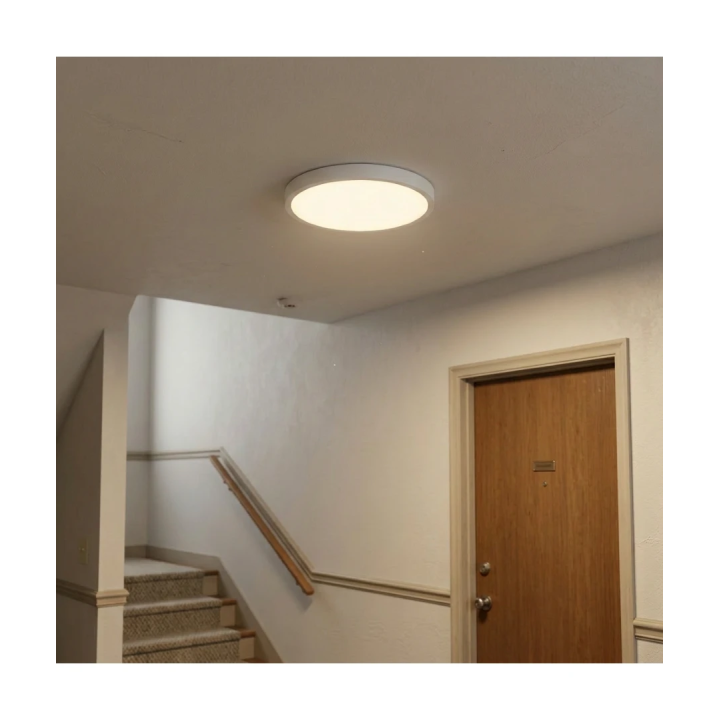 LED loftlampe med sensor og nødlys 18/24/30W IP44