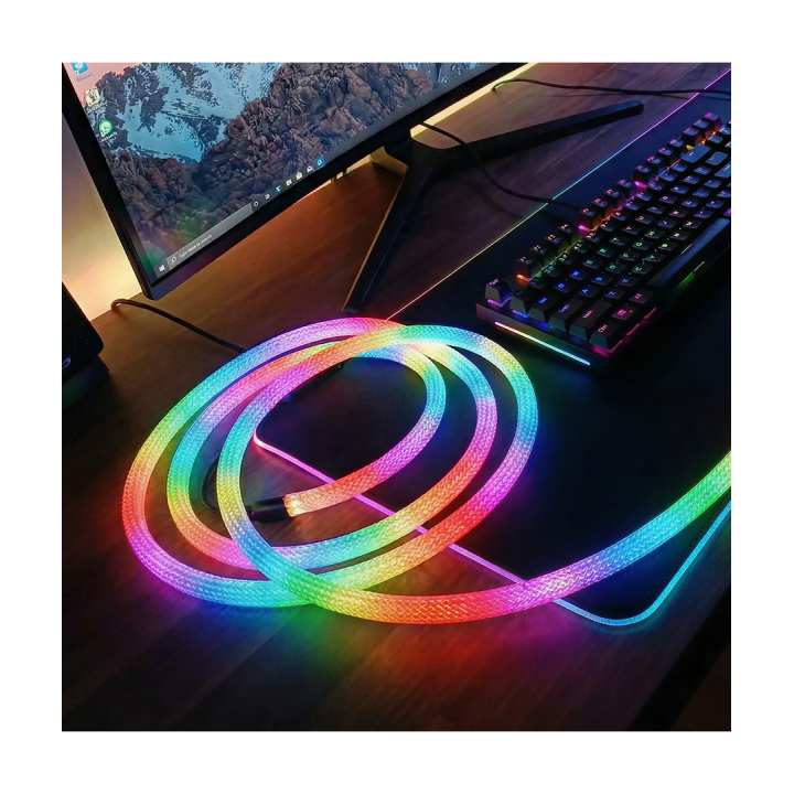 RGBIC Neon Flex reb 5 m med app og USB