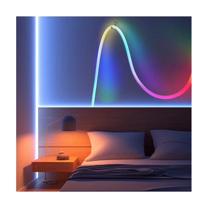 RGBIC Neon Flex reb 5 m med app og USB