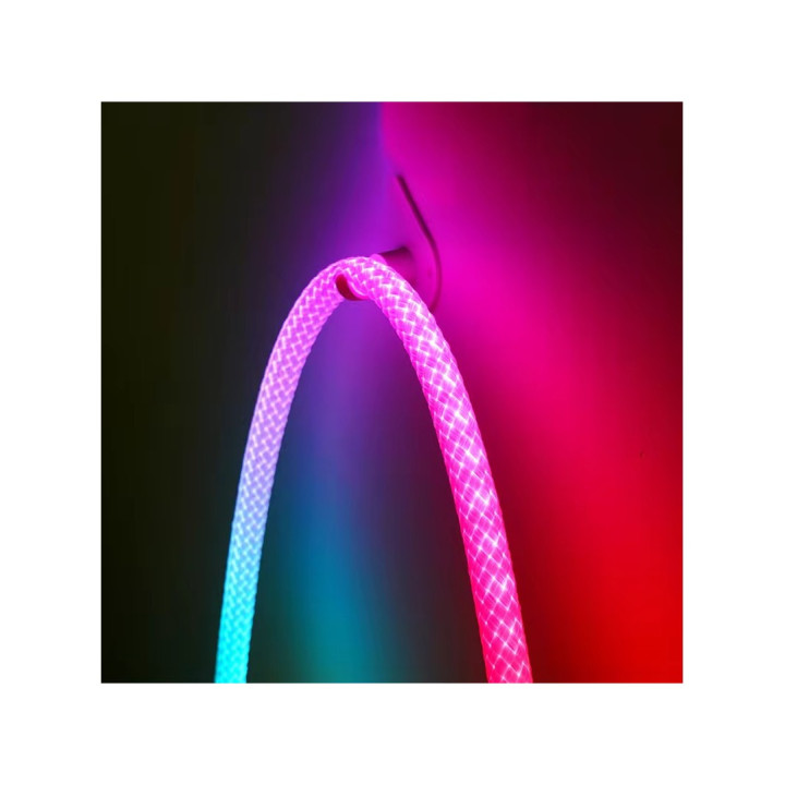 RGBIC Neon Flex reb 5 m med app og USB